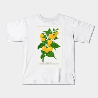 Golden Queen Raspberry Lithograph (1900) Kids T-Shirt